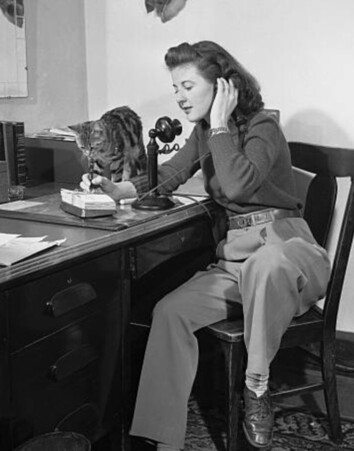 Black and white photo of a young white woman on a candlestick phone, taking notes from someone on the other end. Looking very intensely at her pen is a petite shorthaired tabby on the desk. There's no date but I think this might be the 1940s.