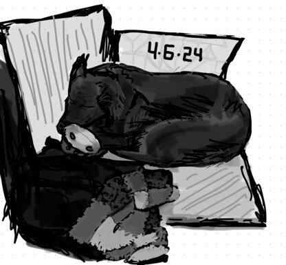 Black and white sketch of a black dog curled up on a surface with a toy under head and a blanket in the foreground