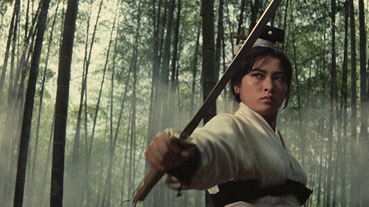 A woman wields a sword. She is surrounded by a dense forest. 