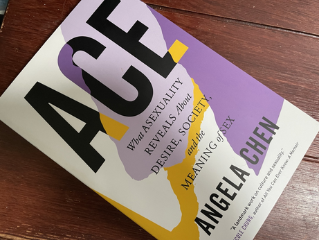 Cover photo of Ace by Angela Chen